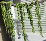 4 Pcs Artificial Plants Hanging Small Leaf Vines Plastic Pearl Bead Hanging (V4) Green Plant