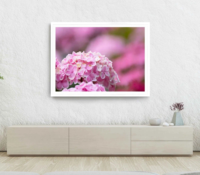 Hydrangea Flower Print, Wall Art, Pink Flower Framed Garden Wall Art, Nature Hydrangea
