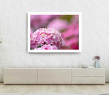Hydrangea Flower Print, Wall Art, Pink Flower Framed Garden Wall Art, Nature Hydrangea