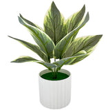 Realistic Vertical Striped Green Artificial Plants Plastic 23x23x26.5cm Green Plant