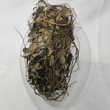 Ewe Ailu/ Secamone Afzelii/Dried Herbs Dried Flower