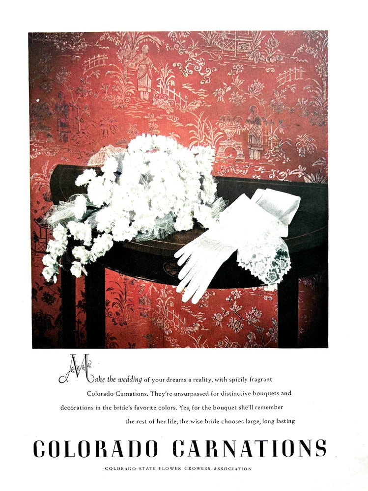 White carnation wedding bouquet with ribbon, arranged on dark stand