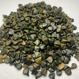 100+ Candlestick Bush Seeds Cassia alata Butterfly Host High Germination Dried Flowering Plants