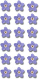 20Pcs Blue Forget-Me-Not Dried Flowers,Natural Forget-Me-Not Dried Flowers Dried Dried Flower