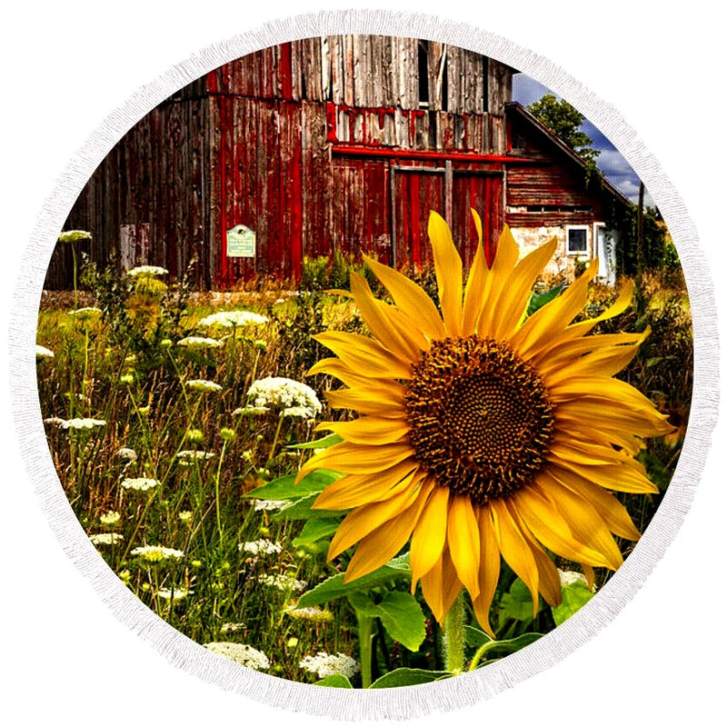 Sunflower pendant necklace with red barn scene on 925 sterling silver chain