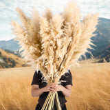 30Pcs 46 Inch Fluffy Tall Pampas Grass Decor Bulk, Natural Dried Pampas Grass Bo Pampas Grass