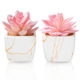 Artificial Succulent in 2 Pcs White Ceramic Pot Small Fake Plants Office Decor Green Plant