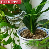 Automatic Plant Watering Bulbs Bird-Shaped Self-Watering Globes Gardening Tools Garden Plants