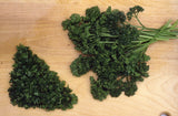 400 FORST GREEN  PARSLEY  - FRESH SEEDS FRESH HARVEST FOR GARDENS Garden Plants