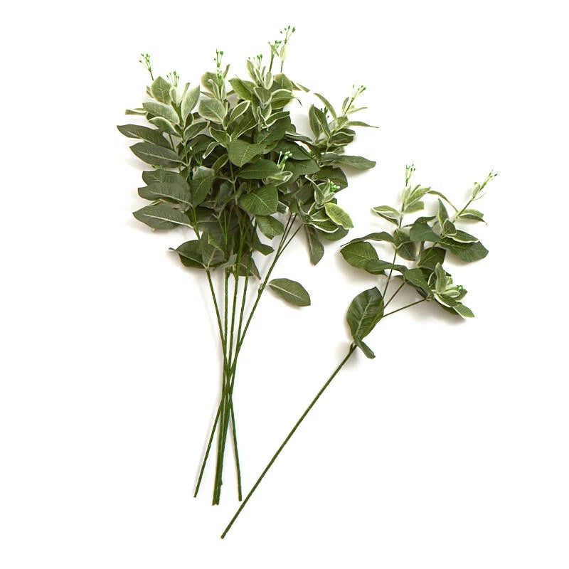 Artificial cheesewood floral sprays set, green leafy stems with small white buds