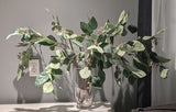 Silk Artificial Flower Arrangement in Glass Vase See pictures for details NEW Ranunculus