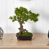 Artificial Bonzai Plant Podocarpus with Mossed Bonsai with Planter Home Decor Green Plant