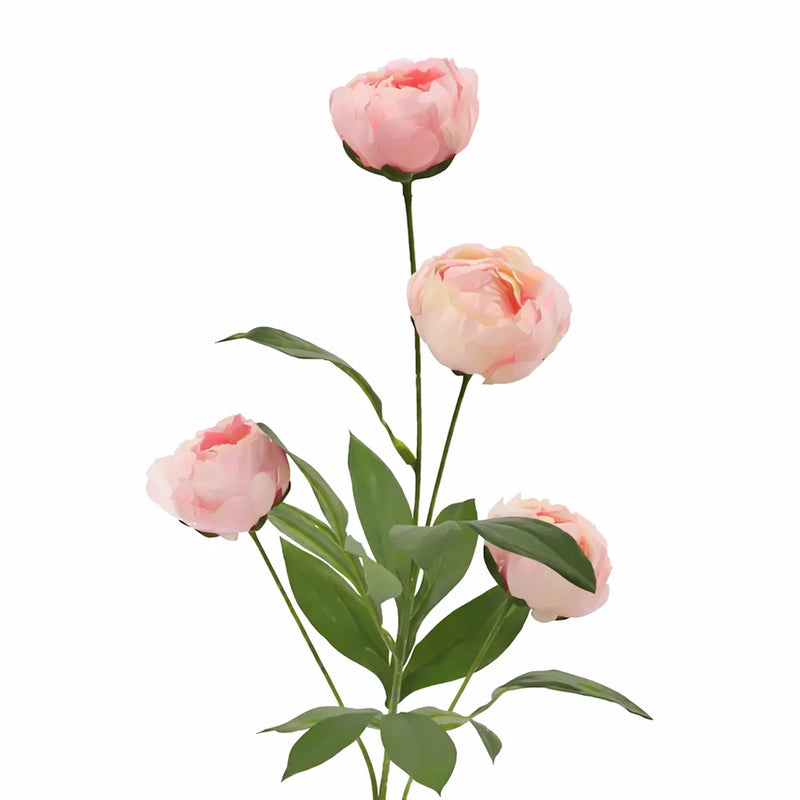 MichaelÕs Ashland Pink Peony Stems Set of 9  Ð Viral Spring Floral Decor NWT Peony