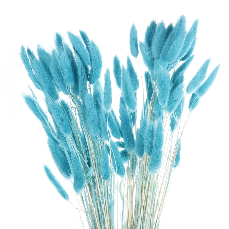 120pcs Natural Bunny Tails Dried Flowers 24" Mini Pampas Grass, Aquamarine Blue Pampas Grass