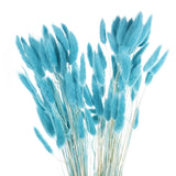 120pcs Natural Bunny Tails Dried Flowers 24" Mini Pampas Grass, Aquamarine Blue Pampas Grass