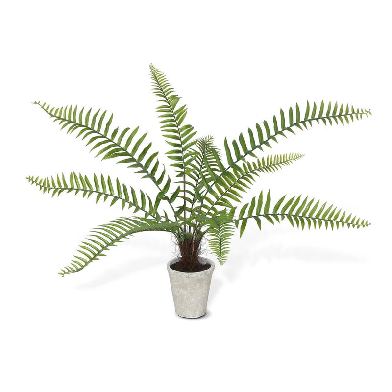 Flat Fern Potted Artificial Plant Decorative Home Decor Green Green Plant