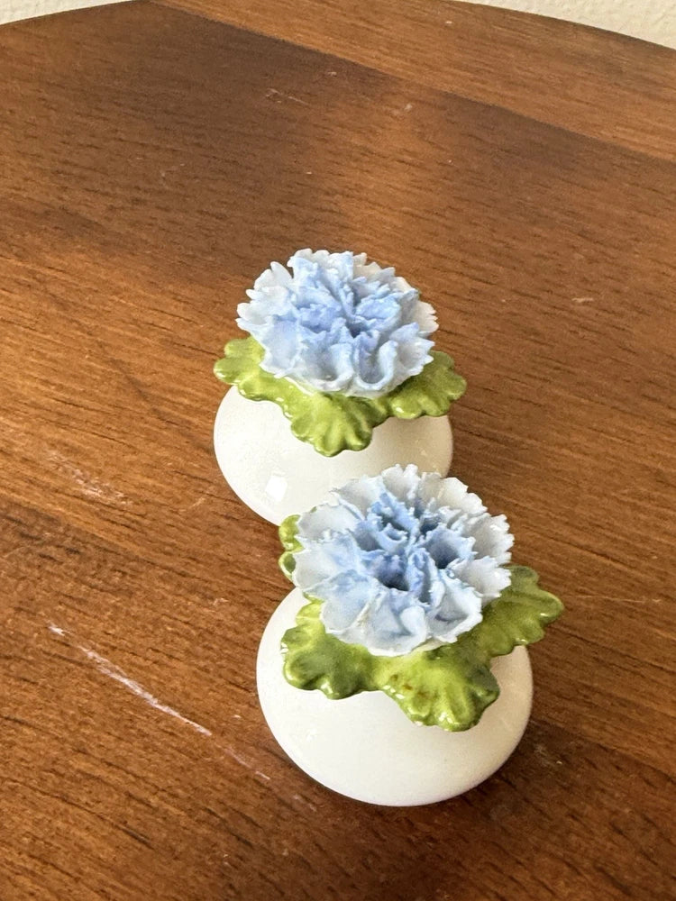 Aynsly fine bone china salt and pepper shakers with blue carnation flowers