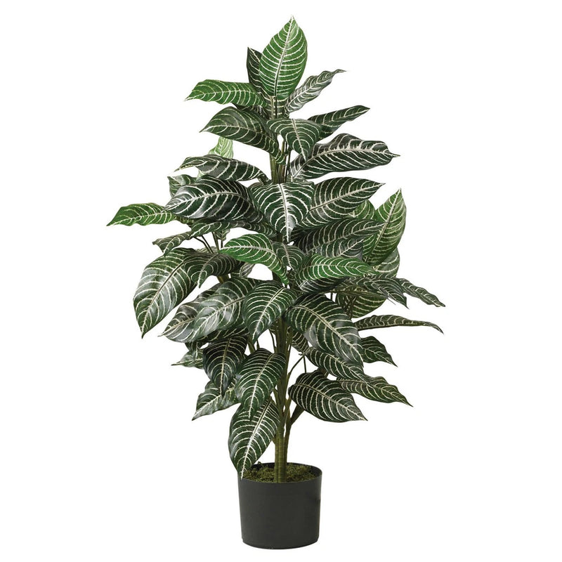 3' Silk Zebra Plant Green Plant