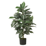 3' Silk Zebra Plant Green Plant