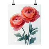 Boho Hot Pink Ranunculus Flower Art Print Poster, Minimalist Floral Wall Art 3 Ranunculus