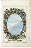 Antique Print-GARLAND-FLOWER-TULIP-CARNATION-POPPY-ROSE-PL. 6-Merz-1720 Carnation