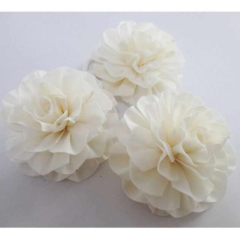 White dried carnation-style flowers for diffuser or fragrance oil decor