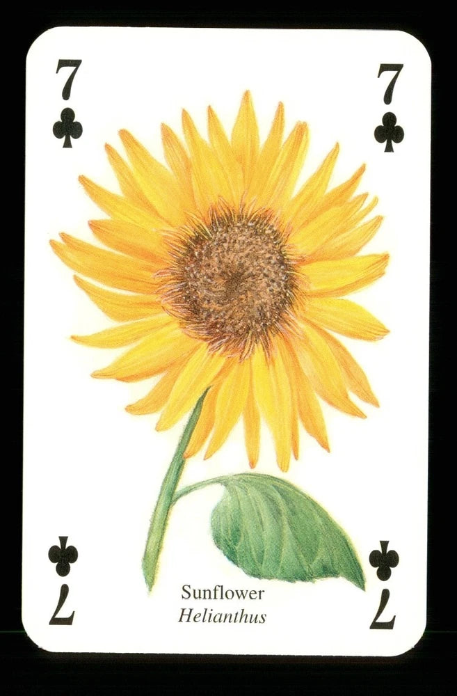 1 x playing card Garden Flower Sunflower ­ 7 of Clubs ­ ZU 08 Sunflower