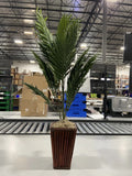 NEARLY NATURAL ARTIFICIAL PLANTS 3FT - GREEN/BROWN Green Plant