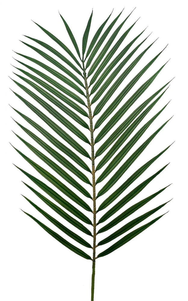 Green faux palm frond on stem with long fan-like leaves