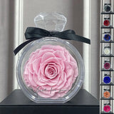 Natural Eternal Flower Ornaments Transparent Cover Dried Rose Gift Box Dried Flower