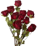 Natural Dried Flowers Bouquet, 10 Pcs Red Dried Roses Bouquet for Wedding Decora Dried Flower