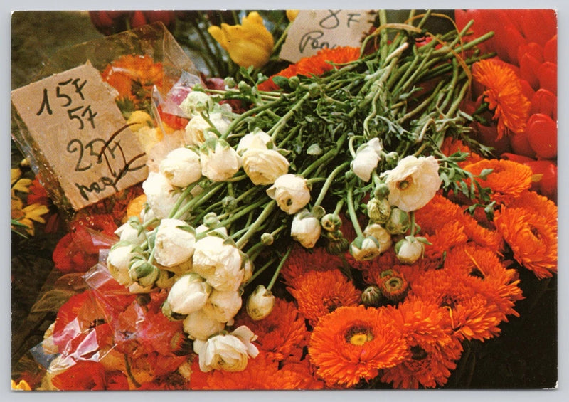 Postcard Flowers Chrysanthemums Ranunculus Persian Buttercups 68R Ranunculus