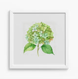 Framed Green Hydrangea Art Print 12x12" White Wooden Frame Watercolor Style NEW Hydrangea