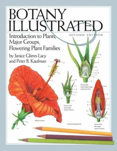 Botany Illustrated: Introduction to Plants, Major Groups, Flowering Plant Famil Flowering Plants