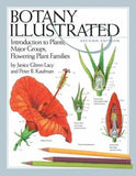 Botany Illustrated: Introduction to Plants, Major Groups, Flowering Plant Famil Flowering Plants