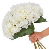 White Hydrangea Artificial Flowers - 5 pcs Realistic Single 18.9 in Long Stem Hydrangea