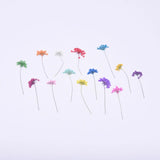 12PCS real Pressed Queen Anne's Lace Flower with stem, 5 colors dyed FCD44 Dried Flower