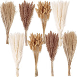 200PCS Dried Flower Bouquet Ð Pampas Grass, Floral Decor for Home, Wedding Pampas Grass