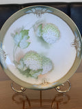 Antique Art Deco R.S. Germany Hand Painted  Hydrangea Floral Plate 8.5Ó EUC Hydrangea
