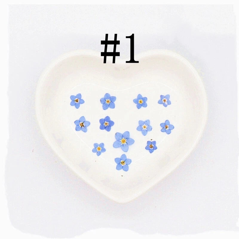 Pressed forget-me-not flowers in white heart tray, blue petals, craft decoration set