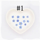 20PCS real Pressed forget me not flower, floral material for art craft FHT21 Dried Flower