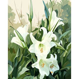 White lily paint-by-numbers canvas artwork with white flowers and green leaves