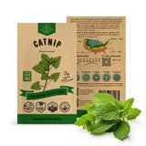 Catnip Seeds Pack 3G Garden Plants