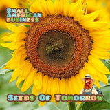50 Dwarf Sunspot Sunflower Seeds- With Bonus! |Organic Non-GMO Heirloom Sunflower