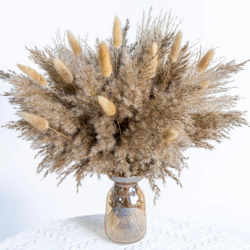 WILD AUTUMN Pampas Grass Decor dreid Flowers Fluffy White,beige,brown,natural Pampas Grass