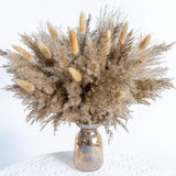 WILD AUTUMN Pampas Grass Decor dreid Flowers Fluffy White,beige,brown,natural Pampas Grass