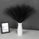 SeptCat 30 Pcs Pampas Grass Black Decor 21.7" 21.7 Inch 30 Pcs, 30 Pcs-black Pampas Grass