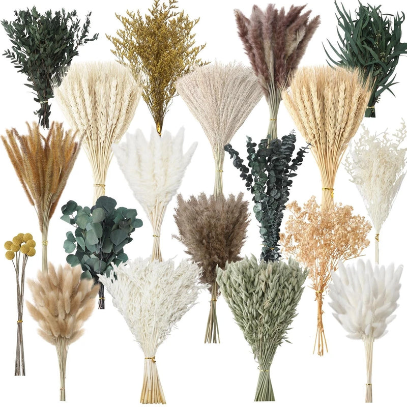 Nuanchu 703 Pcs Dried Pampas Grass Decor Boho Flower Bouquet Bulk with Bunny ... Pampas Grass