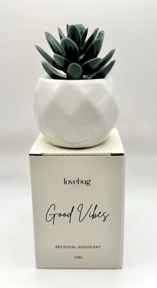 NEW Lovebug Good Vibes Artificial Succulent (Mini Green Faux Plant) Green Plant