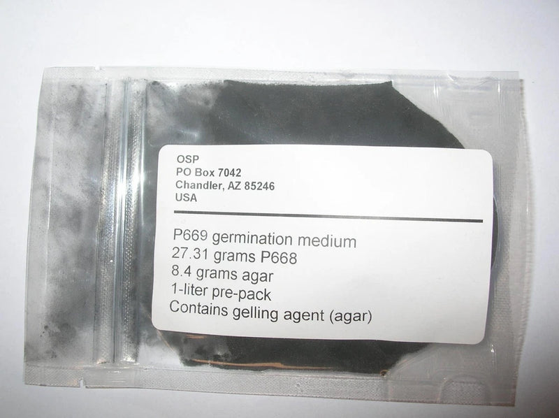 Orchid flask medium P669 mother flask and germination Orchids